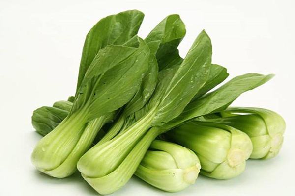 后瑞新鮮蔬菜批發(fā)配送