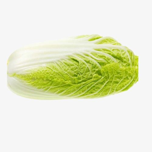 綠意盎然，丁家蔬菜配送——您身邊的健康食材專家