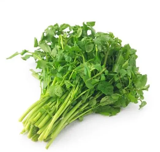 首宏蔬菜運(yùn)輸公司：蔬菜配送全程解析