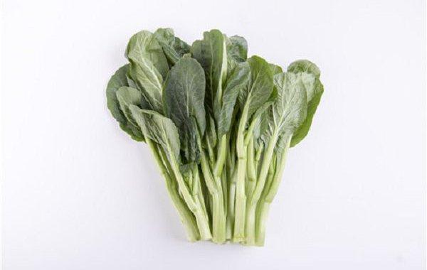 綠色配送，開啟新鮮之旅