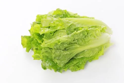 管控區(qū)蔬菜配送要求高嗎