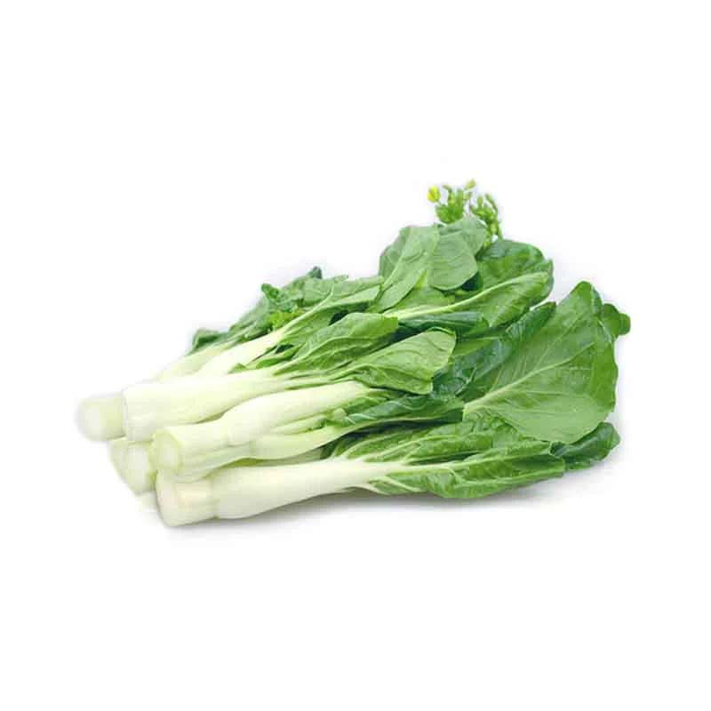 新食材風(fēng)潮：探索綠色健康的味覺(jué)之旅