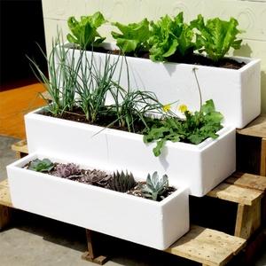 「新鮮蔬菜送上門，便捷訂購體驗，來試試我們的配送平臺！」