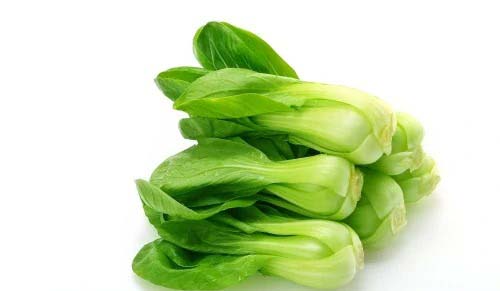 食材配送資質(zhì)攻略！必備的經(jīng)驗分享