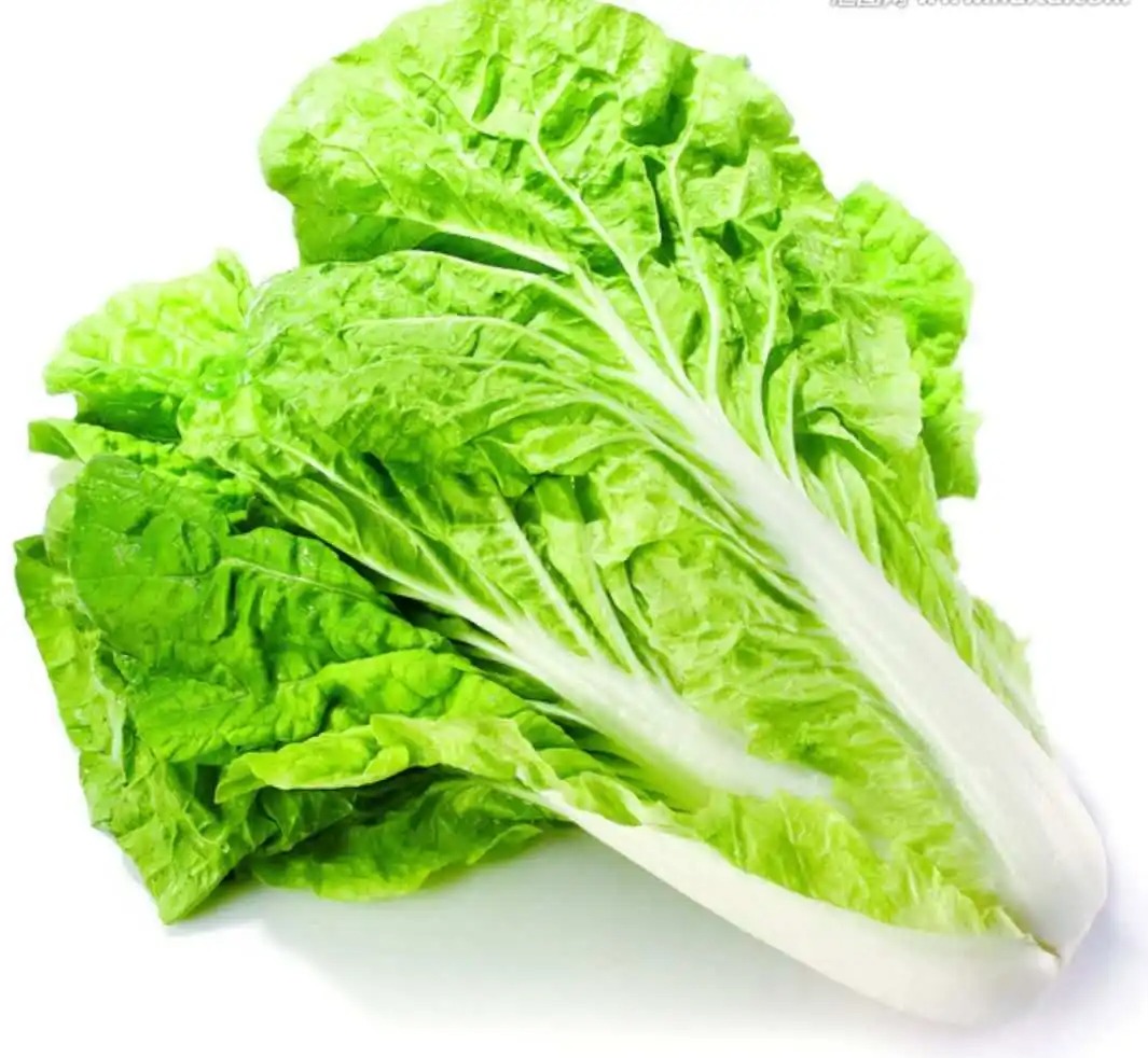 疫情蔬菜肉類配送套餐