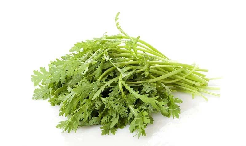 巢湖水果蔬菜配送