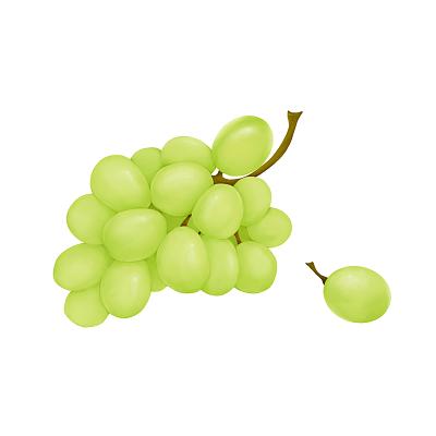 常州蔬菜生鮮配送公司