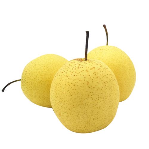 洛陽澗西蔬菜配送