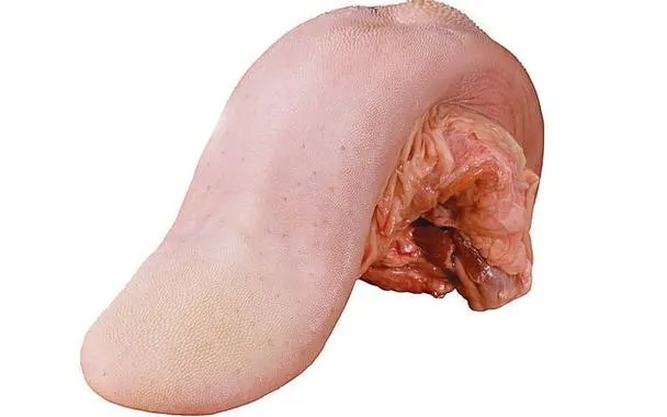 工廠蔬菜配送的需求與考量