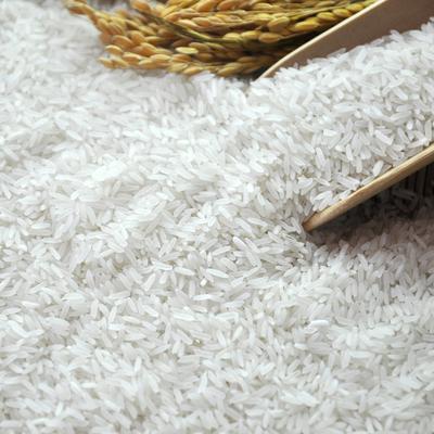 九龍坡蔬菜配送市場